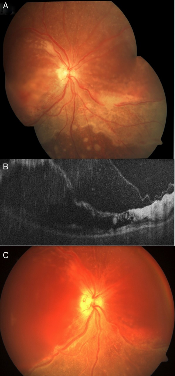 Figure 3