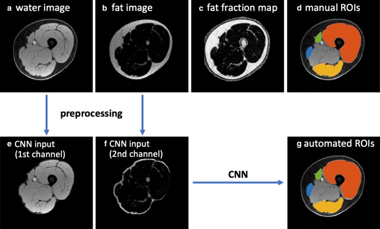 Fig. 4