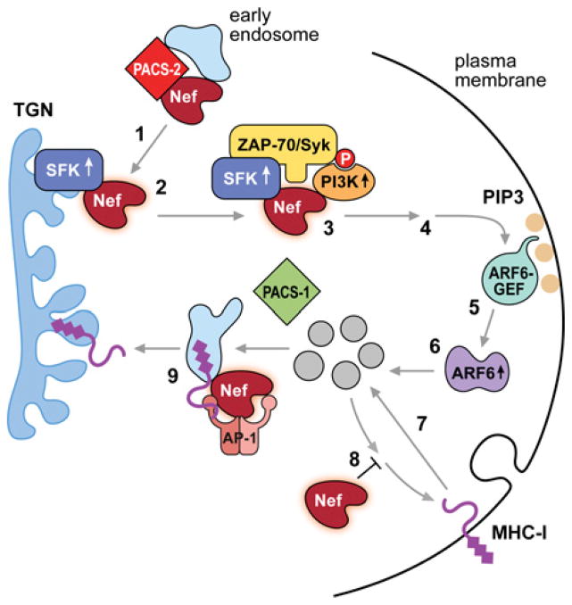 Figure 6