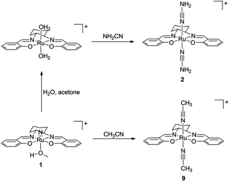 Scheme 1