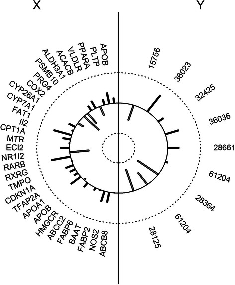 Fig. 6