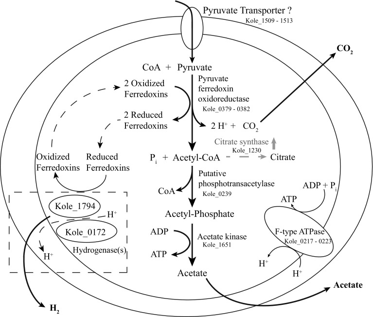 Fig. 2