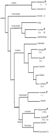 FIGURE 14