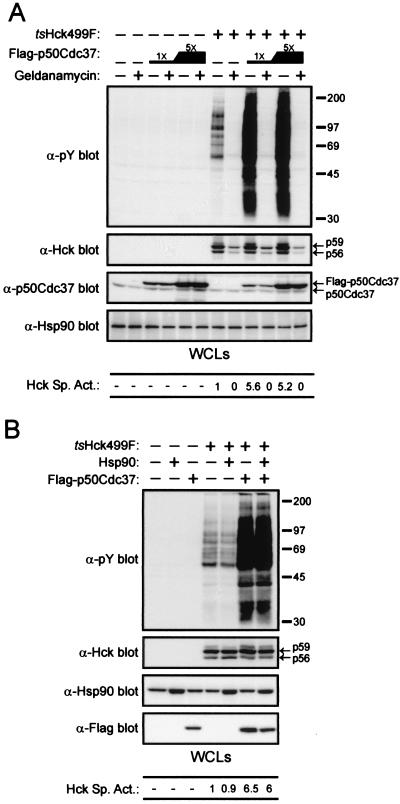 FIG. 6