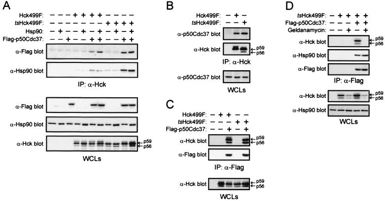 FIG. 7