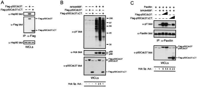 FIG. 8