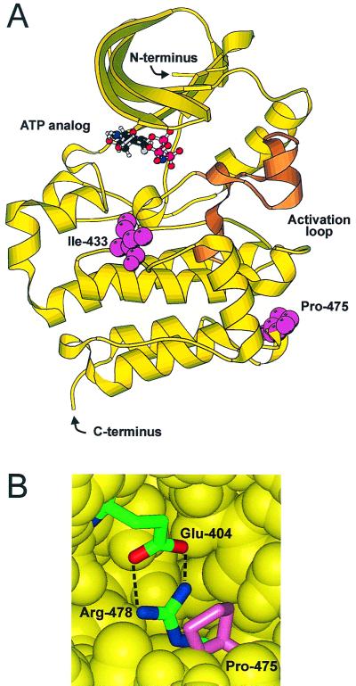 FIG. 10