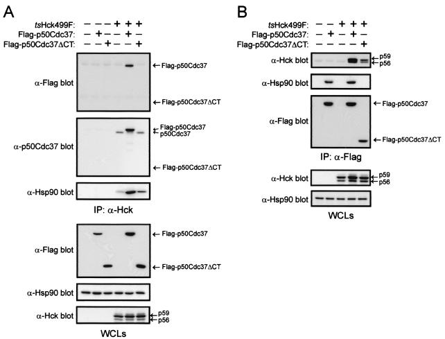 FIG. 9