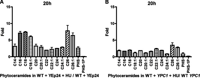 FIGURE 6.