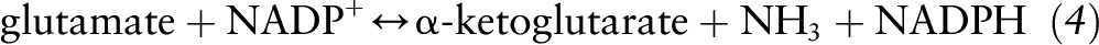 graphic file with name jn256404equ4.jpg