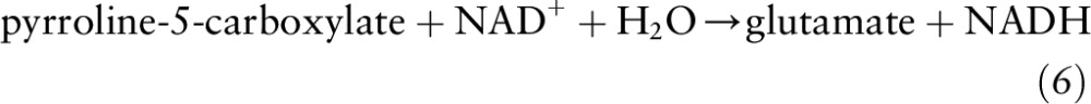 graphic file with name jn256404equ6.jpg