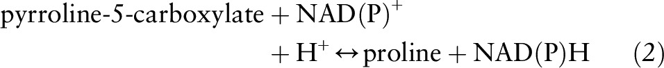 graphic file with name jn256404equ2.jpg