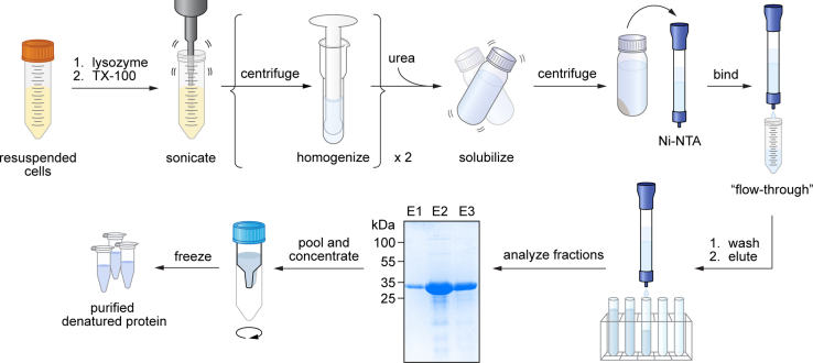 Figure 2