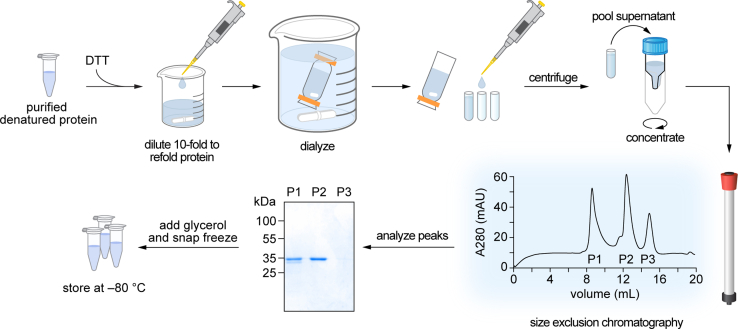 Figure 4