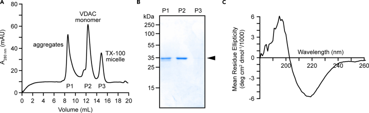 Figure 5