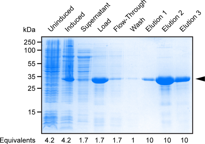 Figure 3