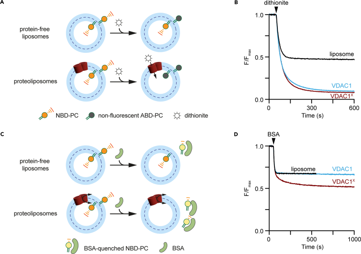 Figure 10