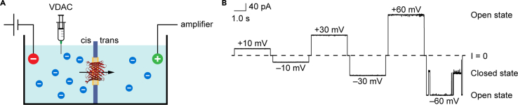 Figure 6