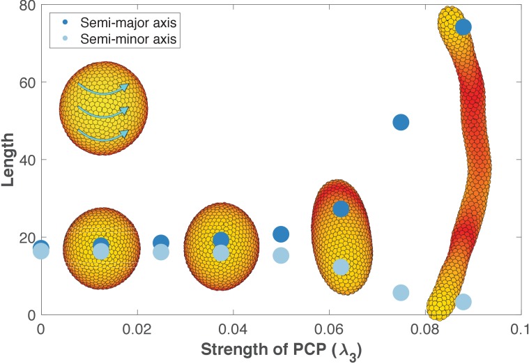 Figure 6—figure supplement 1.