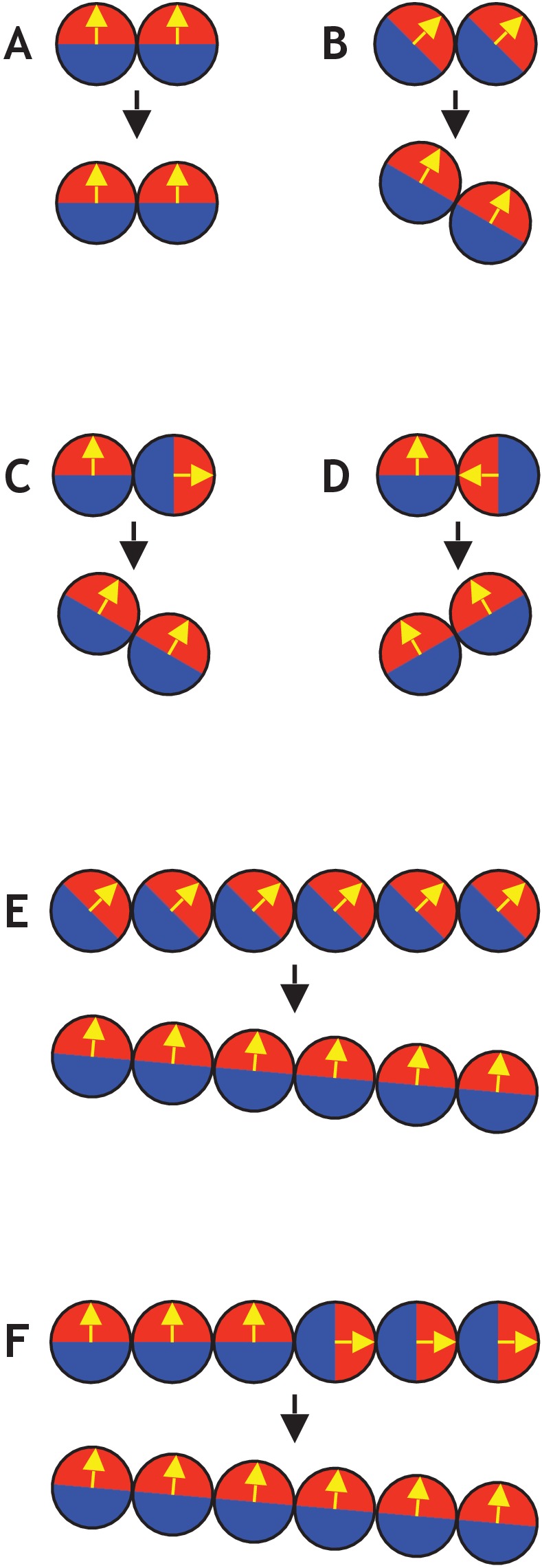 Figure 2—figure supplement 3.