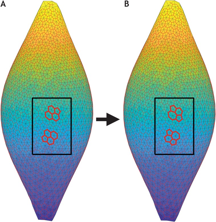 Figure 6—figure supplement 3.