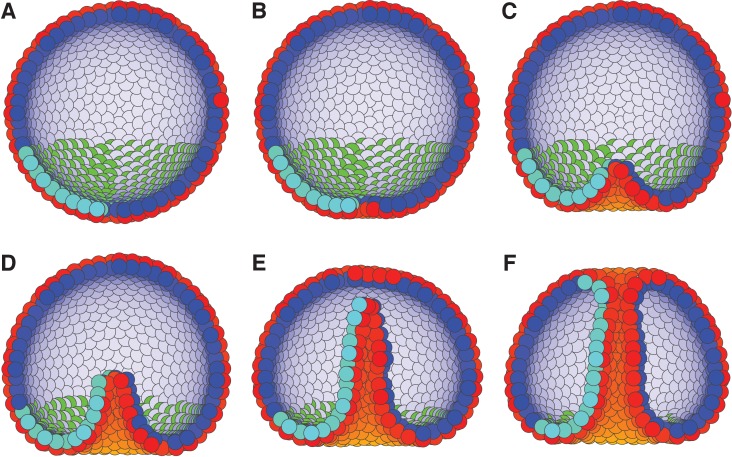 Figure 7.