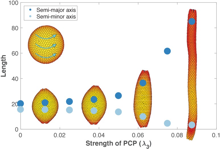 Figure 6.