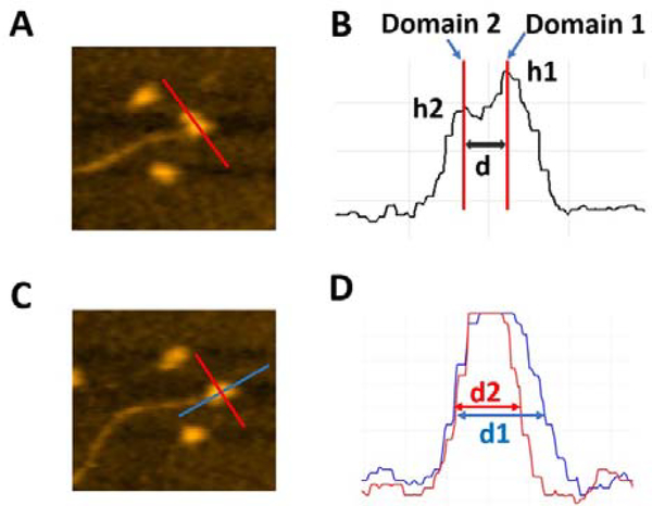 Figure 2.