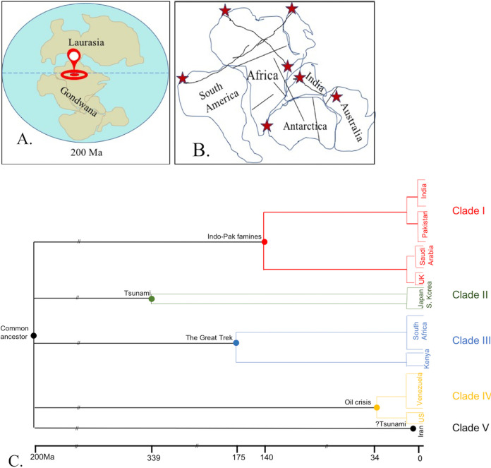 FIG 1