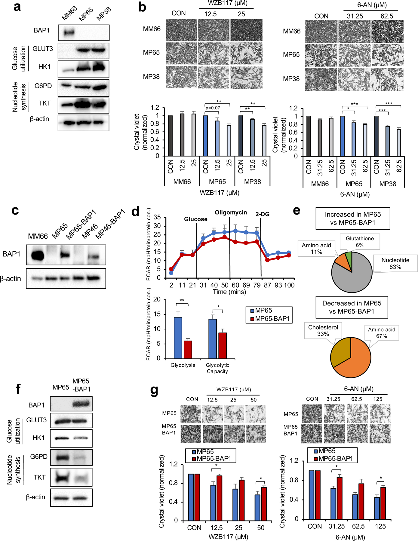 Fig 3.