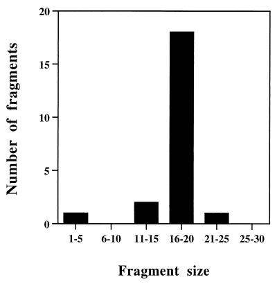 FIG. 6