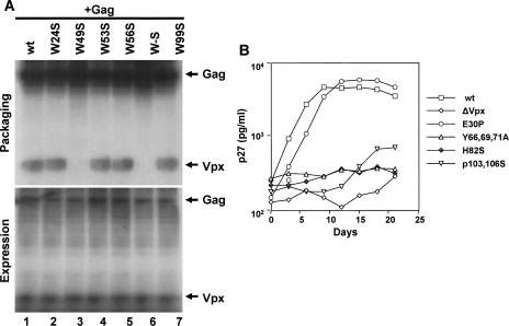 FIG. 6.