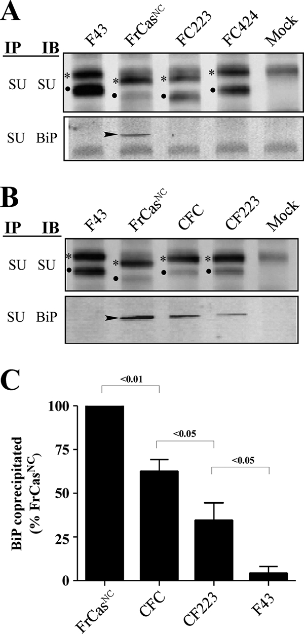 FIG. 6.