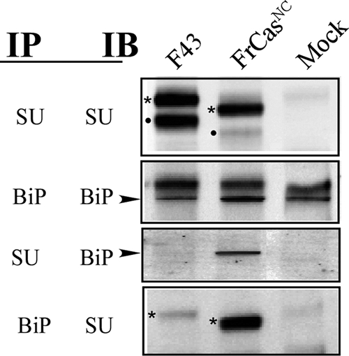 FIG. 5.