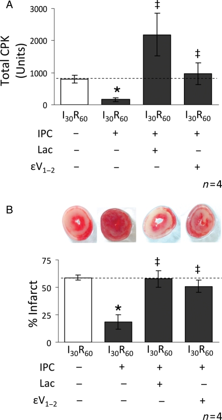 Figure 6