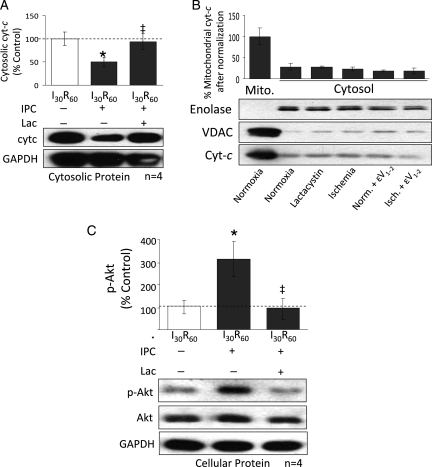 Figure 5