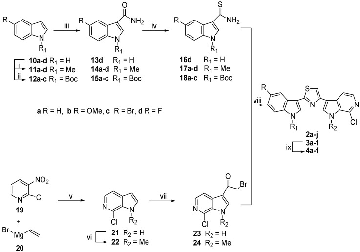 Scheme 2