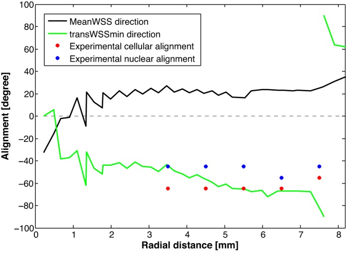 Fig. 11.