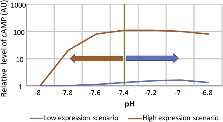 Fig. 7