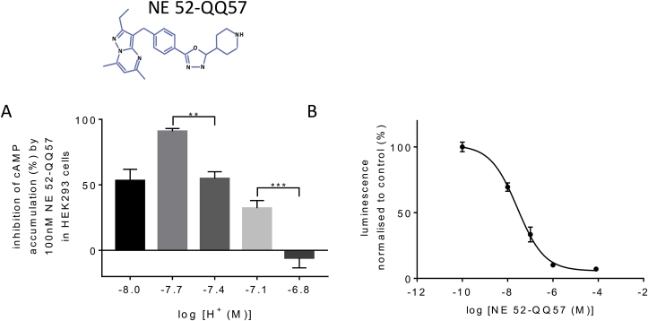 Fig. 3