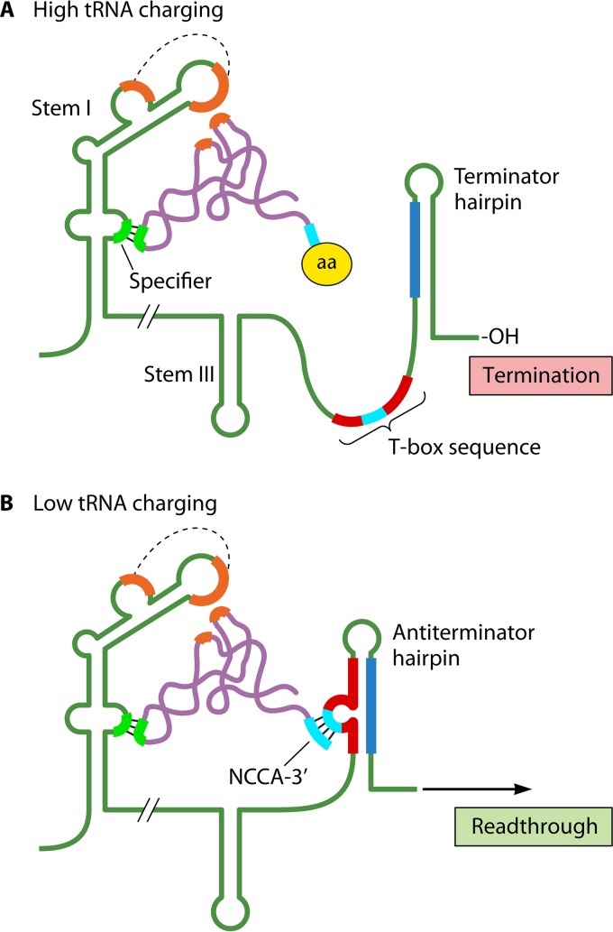 FIG 6