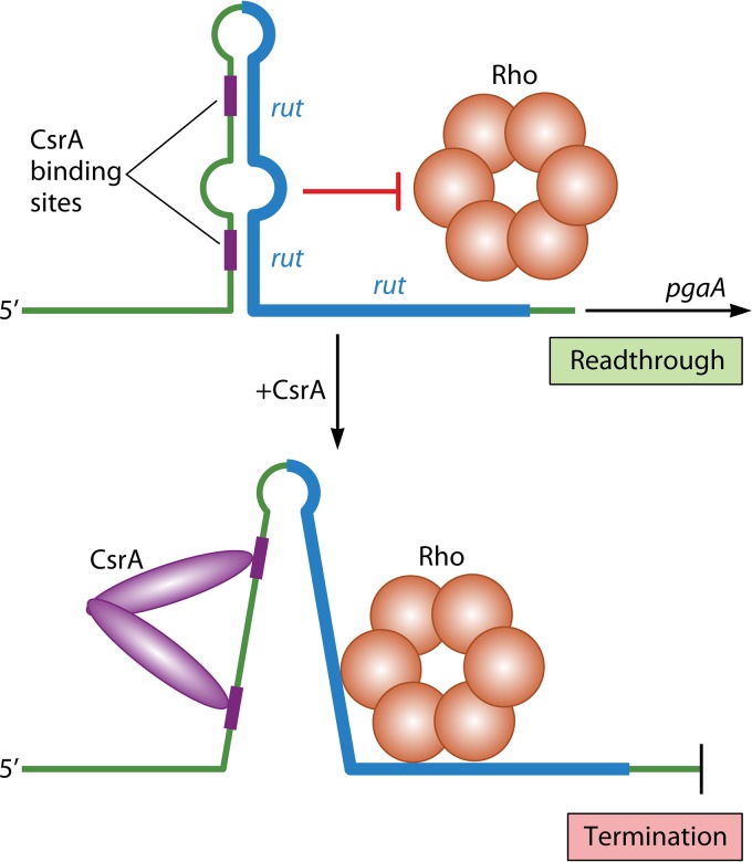 FIG 10