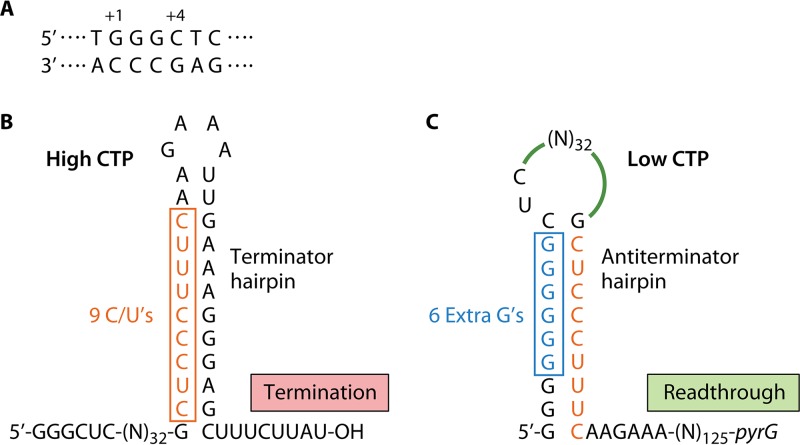 FIG 8