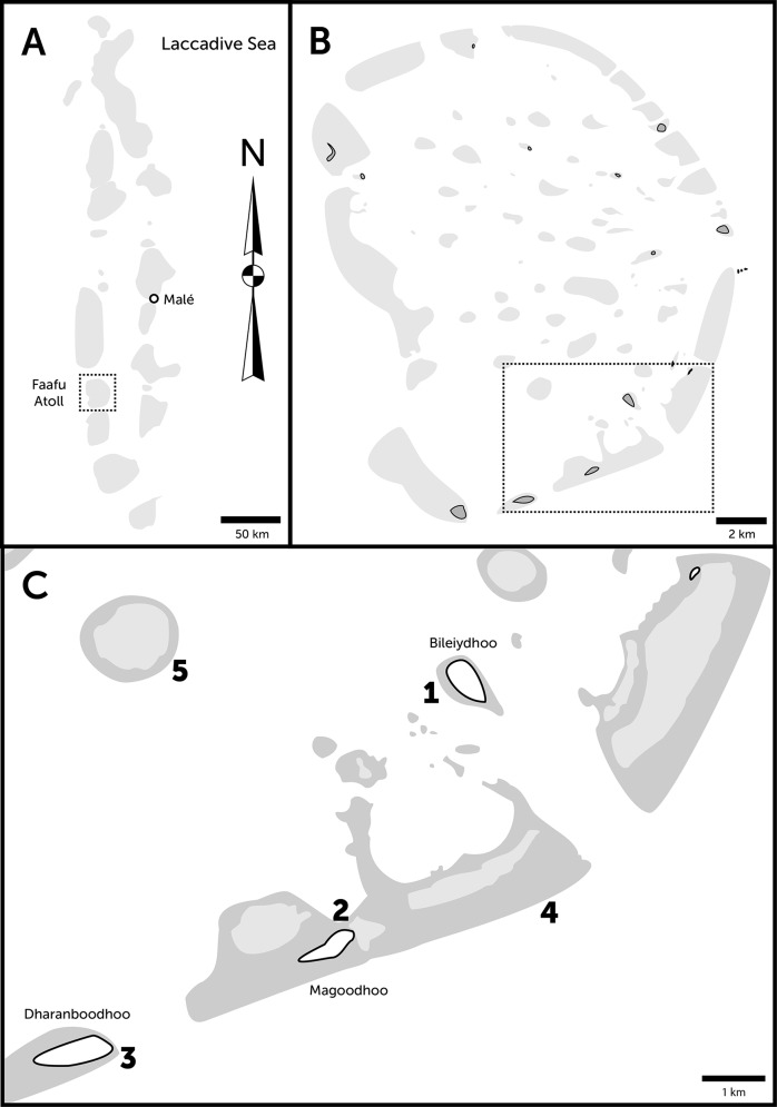 Fig 1