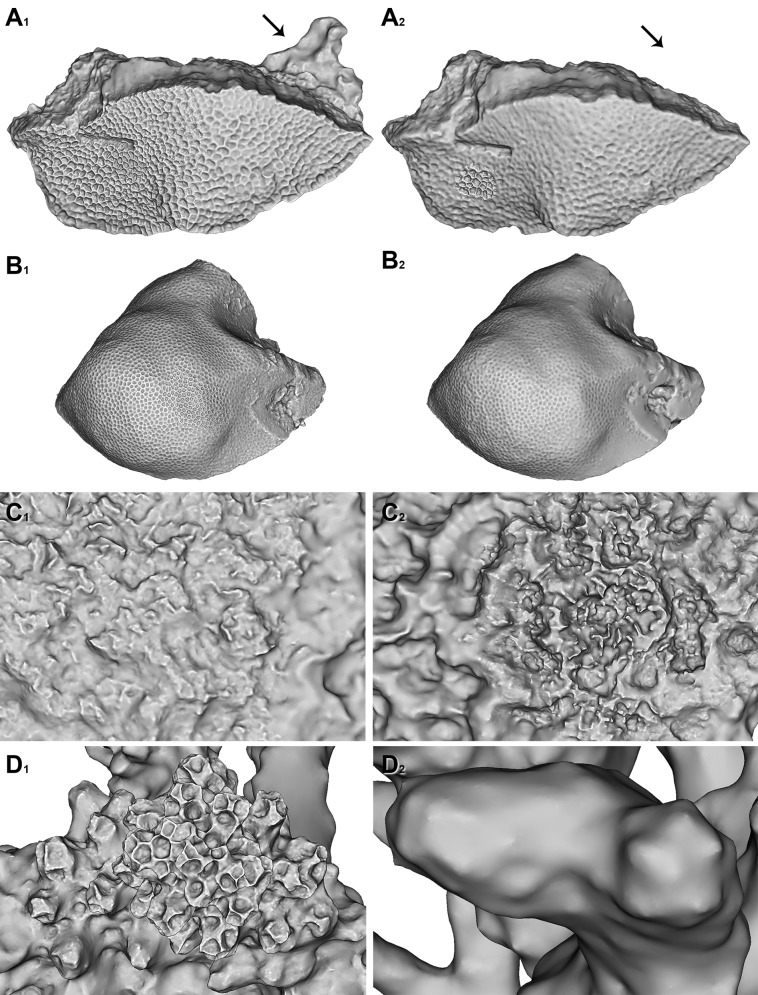 Fig 11