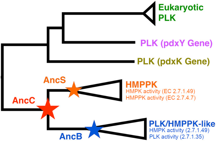 FIGURE 2