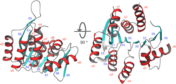 FIGURE 4