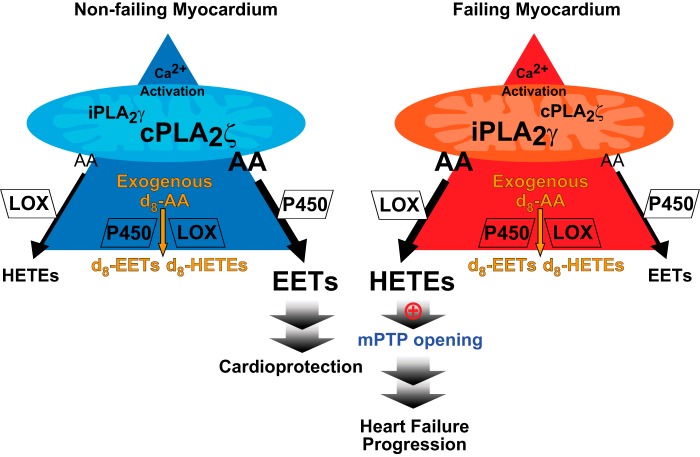 Figure 9.