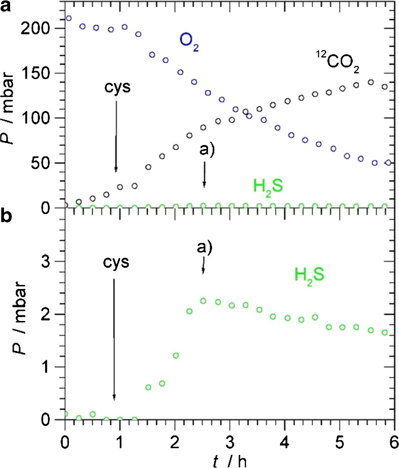 Fig. 8