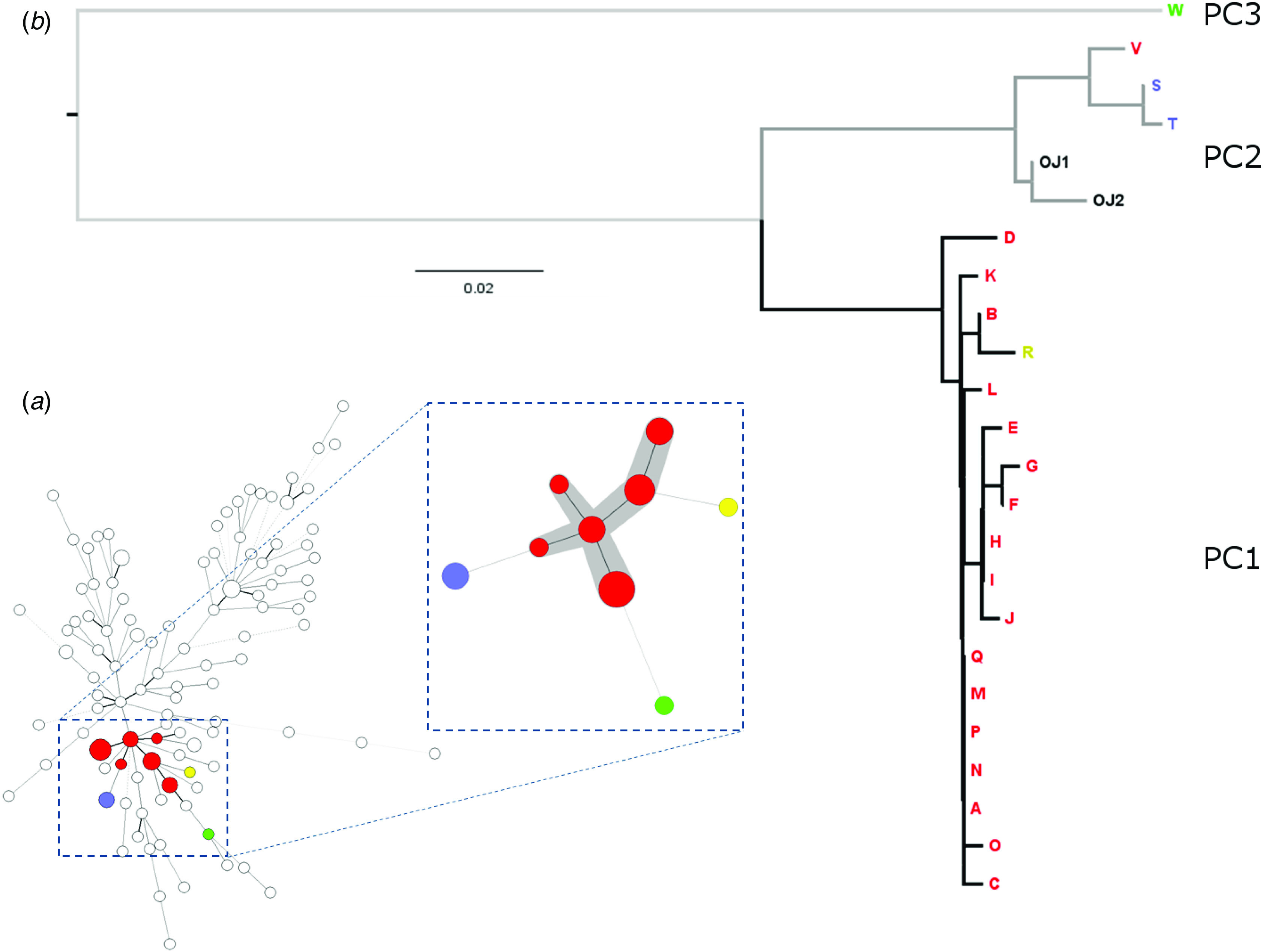 Fig. 2.